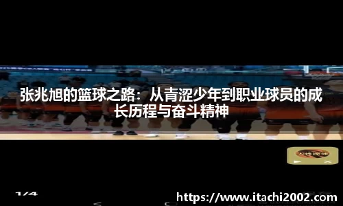 jbo竞博.体育官方网站